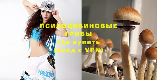 дживик Михайловка
