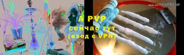 спайс Михайлов