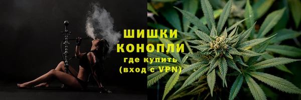 трава Анива