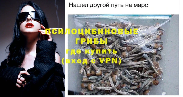 молекула духа Навашино