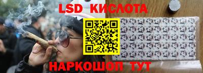 a pvp Камышлов