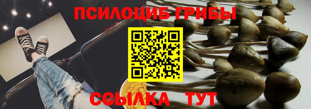 Псилоцибиновые грибы ЛСД  Псилоцибиновые грибы мухоморы  Мыски 