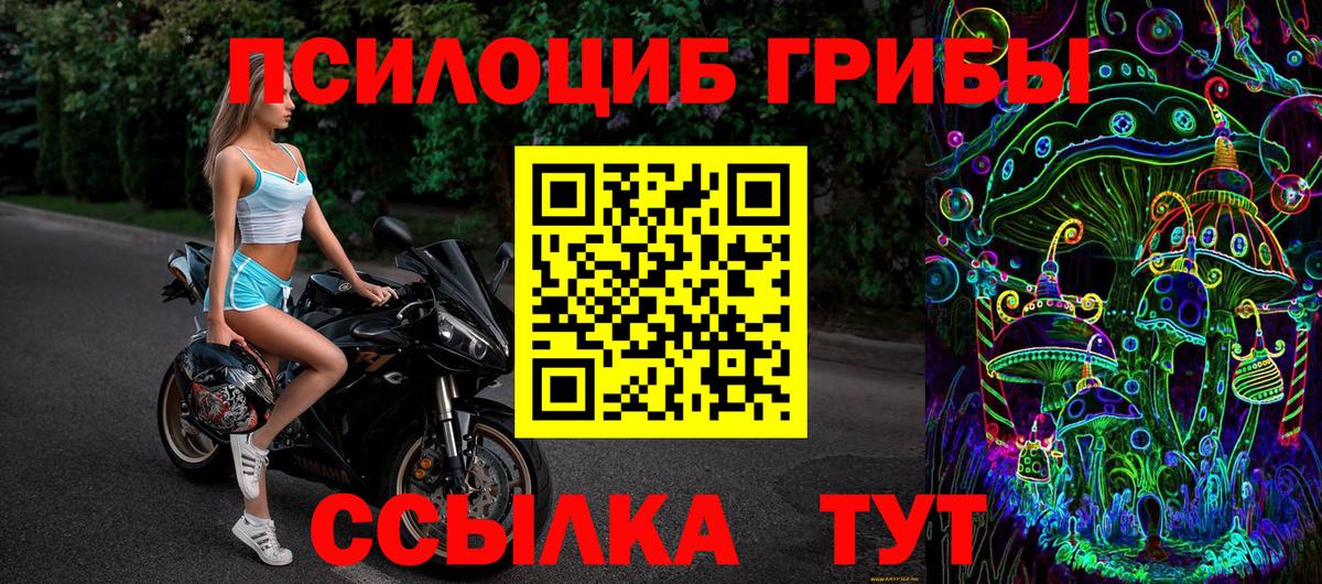 Псилоцибиновые грибы Psilocybe  Вход с VPN  Псилоцибиновые грибы Magic Shrooms  цены наркотик  Мыски 